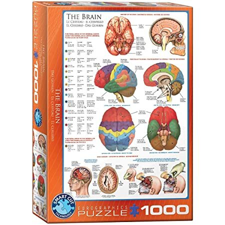 Eurographics 1000 Palan Palapeli The Brain