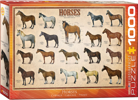 Eurographics 1000 Palan Palapeli Horses