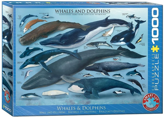 Eurographics Puzzle 1000 Palan Palapeli Whales And Dolphins