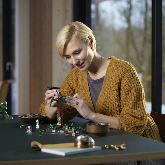 Kiiturien takaa-ajo EndorillaT LEGO Star Wars 75353
